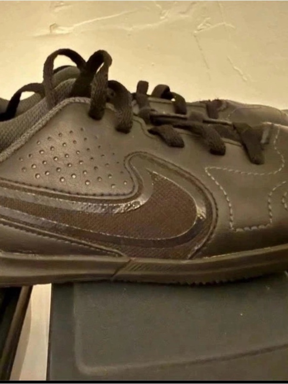 Nike Youth Black Low-Top Sneaker